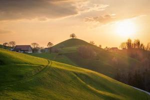 A farm in a hilly landscape with a tree on it photo