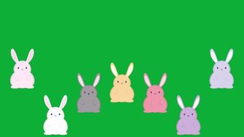 konijn met groen scherm video in 4k ultra hd, gelukkig Pasen dag achtergrond met groen scherm