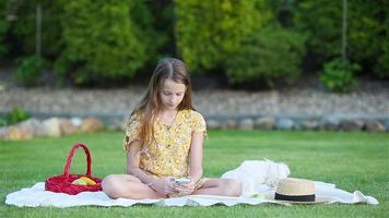 jung Mädchen auf ein Decke im das Gras mit Laptop und Korb von Obst