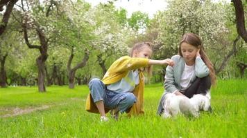 Young girls play together outside in the grass video