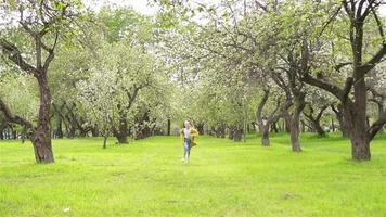 jung Mädchen Laufen durch grasig Clearing zwischen Bäume video