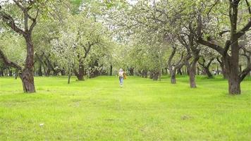 Young girl running through grassy clearing between trees video