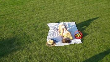 Jeune fille sur une couverture dans le herbe avec portable et panier de fruit video