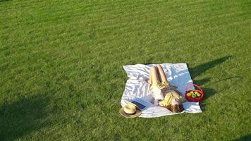 Jeune fille sur une couverture dans le herbe avec portable et panier de fruit video