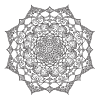 main tiré circulaire floral mandala modèle pour henné, Mehndi, tatouage, décoration. décoratif ornement dans ethnique Oriental style. contour griffonnage main dessiner anti stress png