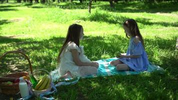 Young girls together on blanket in the grass video