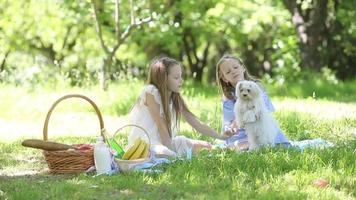 Young girls together on blanket in the grass video