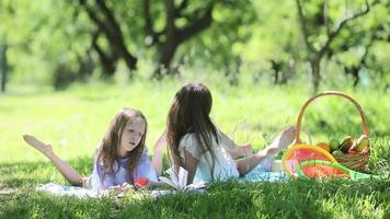 Jeune les filles ensemble sur couverture dans le herbe video