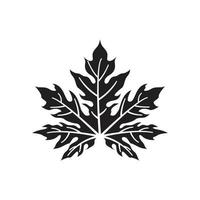 papaya leaf icon vector