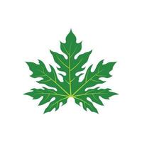 papaya leaf icon vector