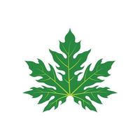 papaya leaf icon vector