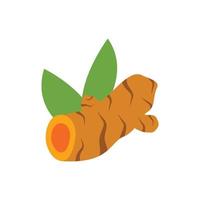 turmeric icon vector