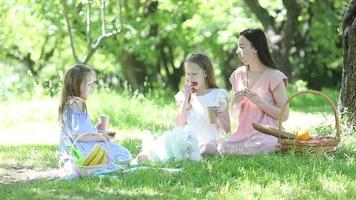 Family picnic on the grass with mother and daughters video