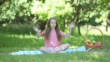 Jeune fille sur une couverture dans le herbe avec panier de fruit video