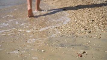 nackt Füße Gehen auf felsig Strand in der Nähe von das Ufer video