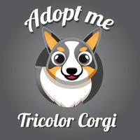 linda kawaii perro perrito pembroke galés corgi tricolor adopción mascota dibujos animados póster fondo de pantalla diseño social medios de comunicación ilustración personaje vector Arte.