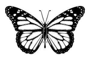 Butterfly sketch drawing drawn by hand with ink. Insect silhouette. Isolated on white background. Vector. vector