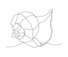 seashell Continuous One Line Drawing vector