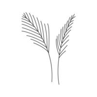Set of abstract decorative plant twigs. Vector line isolated