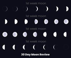 Moon phases. 30 Day Moon Review. Moon phases astronomy icon set, Vector Illustration. Isolated outline symbols. Dark navy blue background.