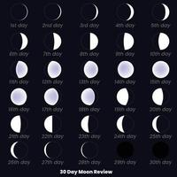 Moon phases. 30 Day Moon Review. Moon phases astronomy icon set, Vector Illustration. Isolated outline symbols. Dark navy blue background.