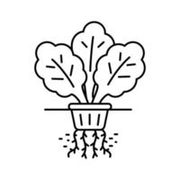 Hydroponic plant icon in linear style vector