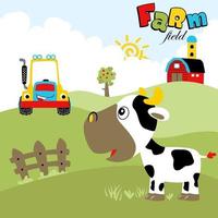 Funny cow with tractor in farm field, vector cartoon illustration