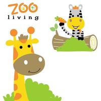 Funny zebra holding carrot with giraffe, vector cartoon illustration