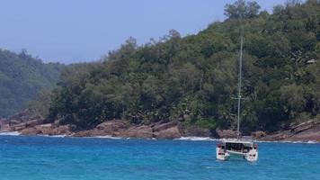 magnifique la nature de les Seychelles, mahe île video