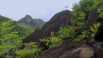 naturaleza de el anse mayor sendero trekking ruta, seychelles