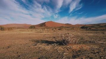 landskap av de namib öken- video