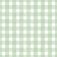 Seamless green gingham pattern photo