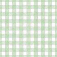 Seamless green gingham pattern photo