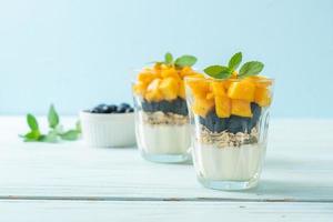 homemade mango and blueberry with yogurt and granola photo