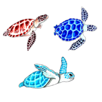 reeks van bruin, blauw en aqua kleur zee schildpadden. PNG illustratie marinier dieren.