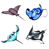 Set of brown, blue, black and aqua color stingray. PNG illustration marine animals.