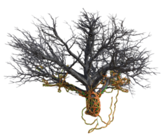 spaventoso albero isolato, 3d rendere png