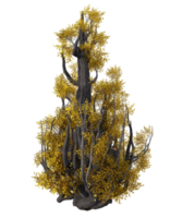 fantástico árbol aislado. 3d hacer png