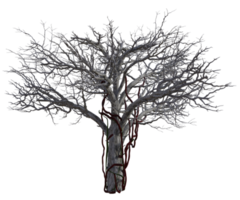 Spooky tree isolated, 3d render png