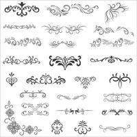 ornamental regla líneas en diferente diseño, decorativo divisores, remolino elementos, esquina diseño, vector gráfico elementos para diseño vector elementos