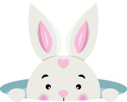 Cute bunny peeking in hole vector