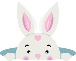 Cute bunny peeking in hole vector