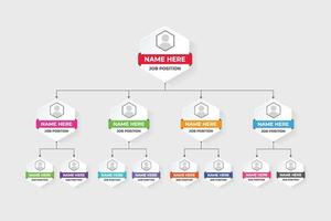 Job position classification graph chart design with colorful hexagon shapes. Data analysis and presentation template vector for office management. Business position visualization infographic vector.