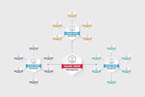 Job position and office management chart infographic vector with colorful sections. Business data visualization and workflow diagram design with hexagon shapes. Chart Infographic timeline vector.