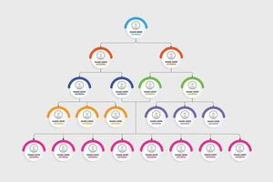 Business job position visualization infographic template vector with colorful round shapes. Office management and presentation infographic diagram vector. Creative flowchart design for office.