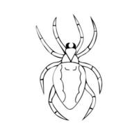 Vector illustration of hand-drawn dark spider. Doodle style vector illustration