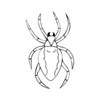 Vector illustration of hand-drawn dark spider. Doodle style vector illustration