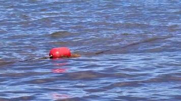 Blue water waves and ocean with buoy and ropes Mexico. video