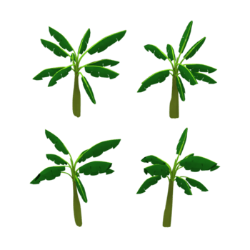 3d rendering of a banana tree without bananas from several perspective top view png