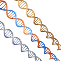 3d interpretazione multiplo illustrazione dna desossiribonucleico acido prospettiva Visualizza angolo png